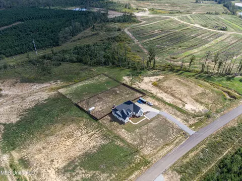 View/Area - 474 Stump Ridge Rd, Brandon, MS 39047 photo 15 of 19