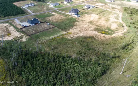 View/Area - 474 Stump Ridge Rd, Brandon, MS 39047 photo 7 of 19