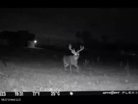 Other - 474 Stump Ridge Rd, Brandon, MS 39047 photo 13 of 13