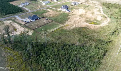 View/Area - 474 Stump Ridge Rd, Brandon, MS 39047 photo 6 of 19