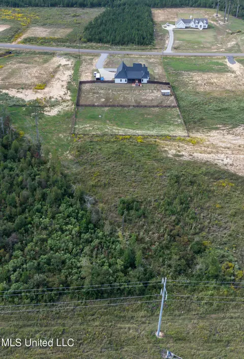 View/Area - 474 Stump Ridge Rd, Brandon, MS 39047 photo 8 of 19