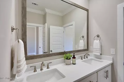Bath - 700 Radiance Pl, Brandon, MS 39042 photo 4 of 6