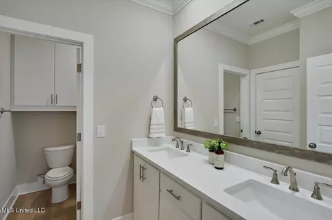 Bath - 700 Radiance Pl, Brandon, MS 39042 photo 3 of 6