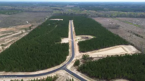 749 Freedom Ridge Ln, Brandon, MS 39047 photo 7