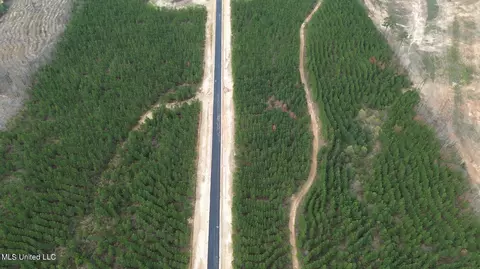 749 Freedom Ridge Ln, Brandon, MS 39047 photo 3