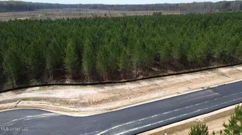 749 Freedom Ridge Ln, Brandon, MS 39047 photo 23