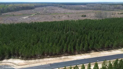 749 Freedom Ridge Ln, Brandon, MS 39047 photo 21