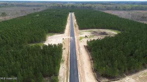 749 Freedom Ridge Ln, Brandon, MS 39047 photo 8