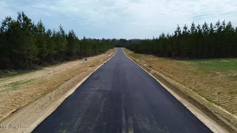 749 Freedom Ridge Ln, Brandon, MS 39047 photo 9
