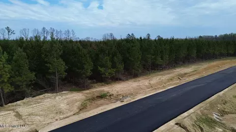 749 Freedom Ridge Ln, Brandon, MS 39047 photo 12