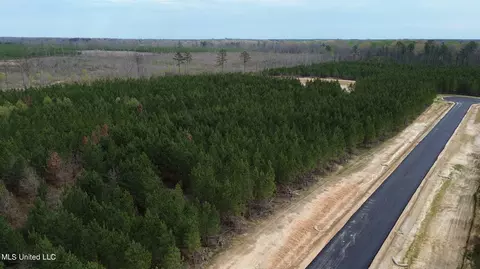 749 Freedom Ridge Ln, Brandon, MS 39047 photo 14