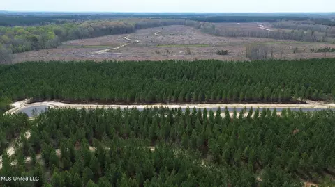 749 Freedom Ridge Ln, Brandon, MS 39047 photo 20