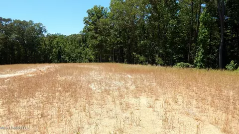 204 Hugh White State Park Rd, Grenada, MS 38901
