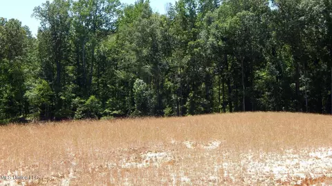 204 Hugh White State Park Rd, Grenada, MS 38901 photo 2