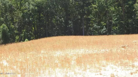 204 Hugh White State Park Rd, Grenada, MS 38901 photo 9