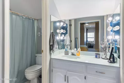 Bath - 1910 Green Village Dr, Hernando, MS 38632 photo 4 of 4