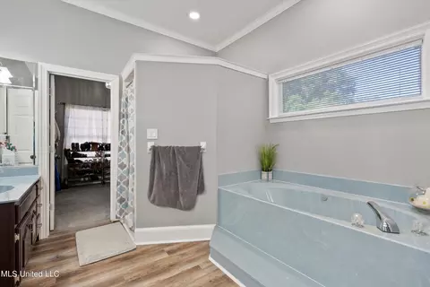 Bath - 1910 Green Village Dr, Hernando, MS 38632 photo 1 of 4