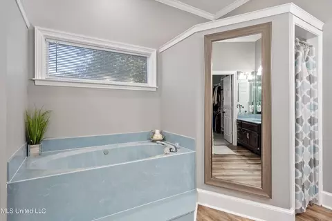Bath - 1910 Green Village Dr, Hernando, MS 38632 photo 2 of 4