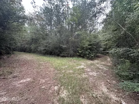 0 Holder Rd, Vancleave, MS 39565