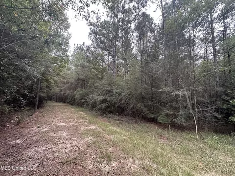 0 Holder Rd, Vancleave, MS 39565 photo 2