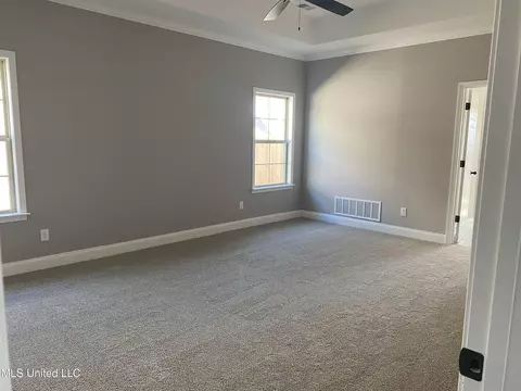 5237 Watson Vw Dr, Nesbit, MS 38651 photo 9