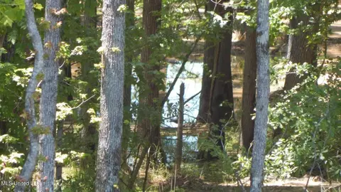 205 Hugh White State Park Rd, Grenada, MS 38901 photo 3
