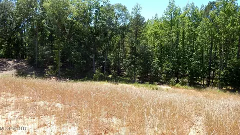 205 Hugh White State Park Rd, Grenada, MS 38901 photo 14