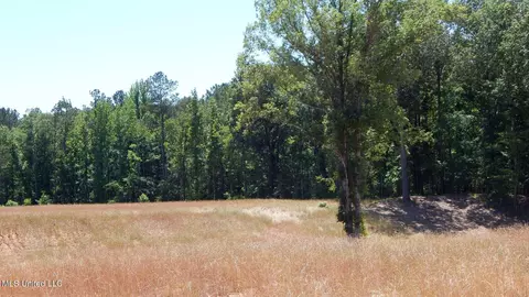205 Hugh White State Park Rd, Grenada, MS 38901 photo 12