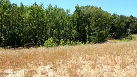 205 Hugh White State Park Rd, Grenada, MS 38901 photo 13