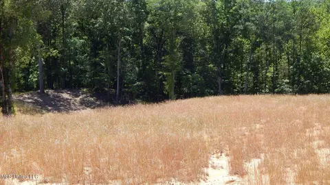 205 Hugh White State Park Rd, Grenada, MS 38901 photo 11