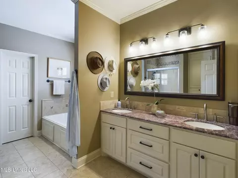 Bath - 159 Millhouse Drive Dr, Madison, MS 39110 photo 1 of 4