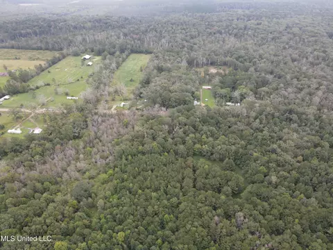 Ms-35, Forest, MS 39074 photo 16