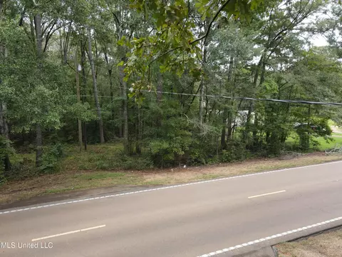Ms-35, Forest, MS 39074 photo 3