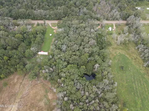 Ms-35, Forest, MS 39074 photo 13