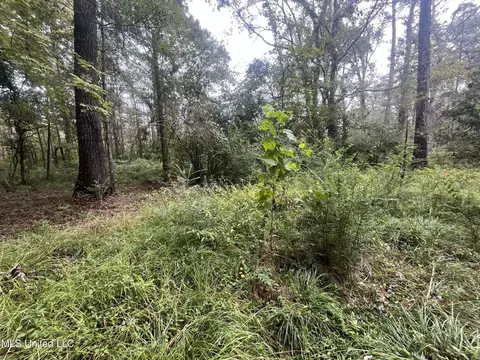 Ms-35, Forest, MS 39074 photo 7