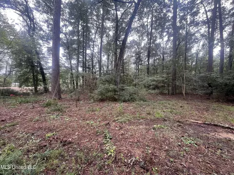 Ms-35, Forest, MS 39074 photo 17
