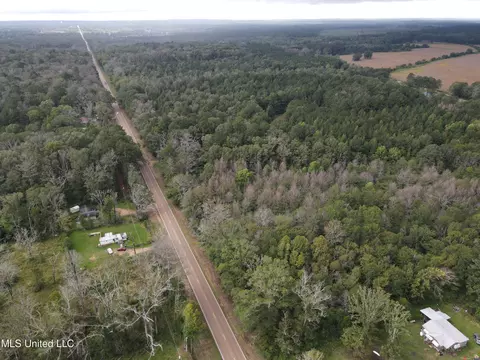 Ms-35, Forest, MS 39074 photo 36