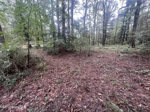 Ms-35, Forest, MS 39074 photo 14