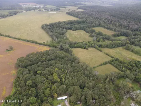 Ms-35, Forest, MS 39074 photo 23