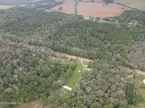 Ms-35, Forest, MS 39074 photo 31