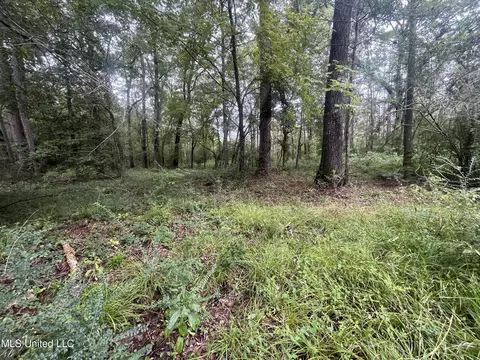 Ms-35, Forest, MS 39074 photo 11