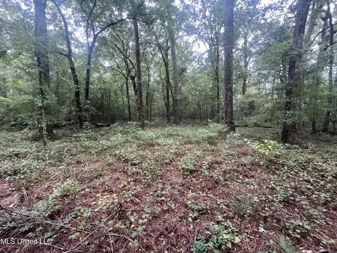 Ms-35, Forest, MS 39074 photo 5