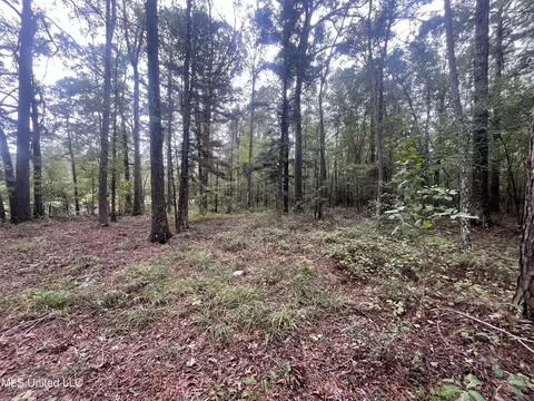 Ms-35, Forest, MS 39074 photo 10