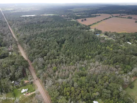 Ms-35, Forest, MS 39074 photo 33