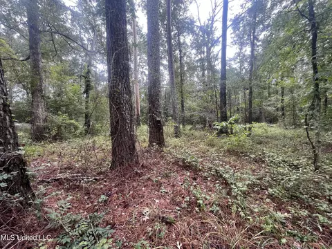 Ms-35, Forest, MS 39074 photo 6