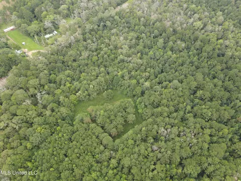 Ms-35, Forest, MS 39074 photo 18