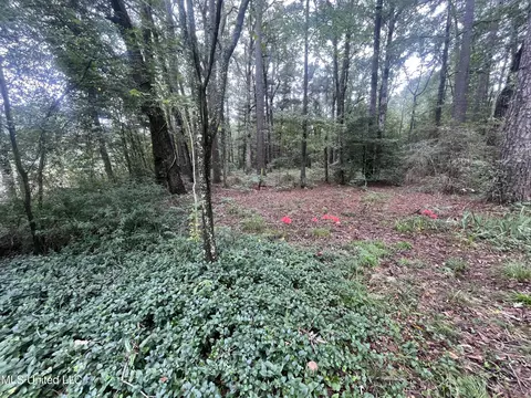 Ms-35, Forest, MS 39074 photo 4