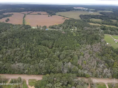 Ms-35, Forest, MS 39074 photo 34