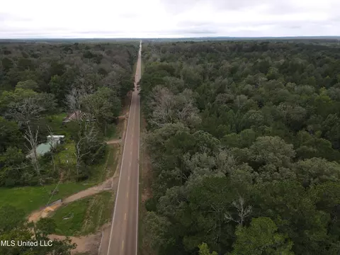 Ms-35, Forest, MS 39074 photo 25
