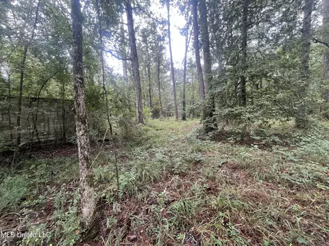 Ms-35, Forest, MS 39074 photo 9